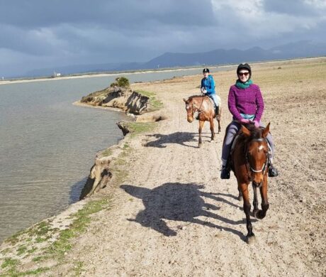Styczniowy tydzień na Sardynii – konie, wspinaczka, dzikie termy, cytrusy prosto z drzewa, karnawał i plaże tylko dla nas…