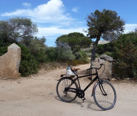Sardynia – rowerowy raj
