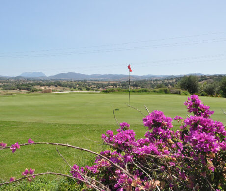 Klub golfowy Botanic Golf Sacuba 